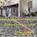 Raritate - Casa la curte Romana- Piata Victoriei zona Nicolae Iorga